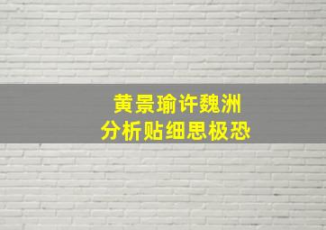 黄景瑜许魏洲分析贴细思极恐