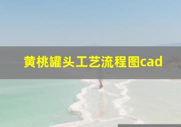 黄桃罐头工艺流程图cad