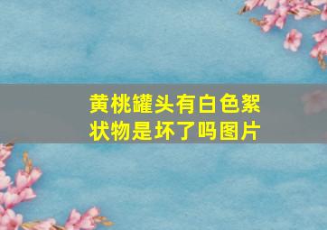 黄桃罐头有白色絮状物是坏了吗图片