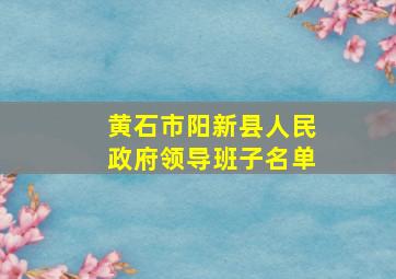 黄石市阳新县人民政府领导班子名单