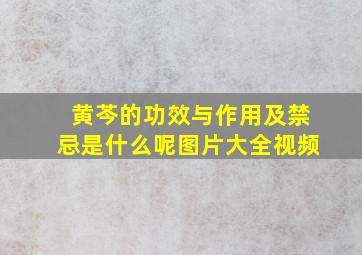 黄芩的功效与作用及禁忌是什么呢图片大全视频