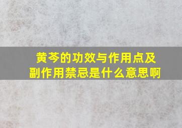 黄芩的功效与作用点及副作用禁忌是什么意思啊