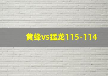 黄蜂vs猛龙115-114