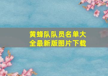 黄蜂队队员名单大全最新版图片下载