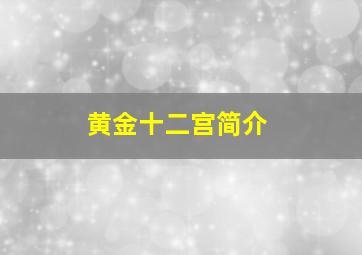 黄金十二宫简介