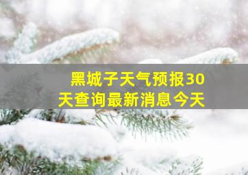 黑城子天气预报30天查询最新消息今天