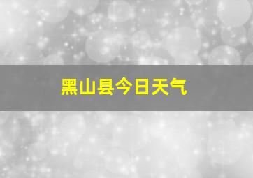 黑山县今日天气