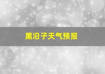 黑沿子天气预报