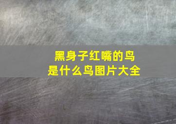 黑身子红嘴的鸟是什么鸟图片大全