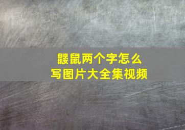 鼹鼠两个字怎么写图片大全集视频