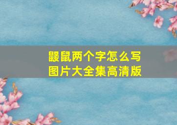 鼹鼠两个字怎么写图片大全集高清版