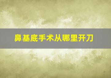 鼻基底手术从哪里开刀