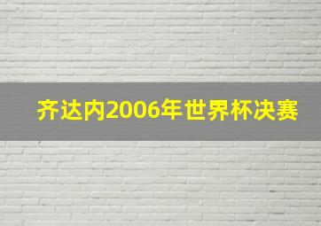 齐达内2006年世界杯决赛