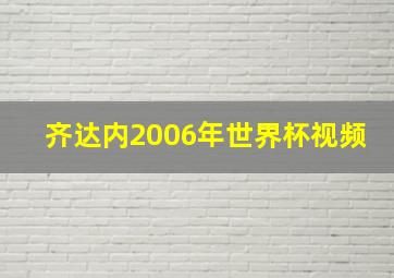 齐达内2006年世界杯视频