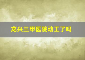 龙兴三甲医院动工了吗