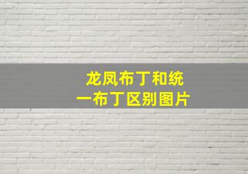 龙凤布丁和统一布丁区别图片