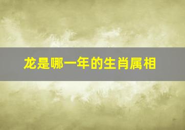 龙是哪一年的生肖属相