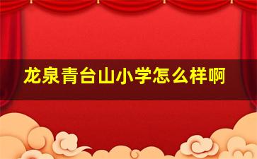 龙泉青台山小学怎么样啊