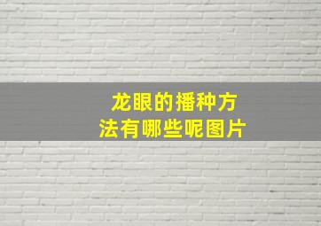 龙眼的播种方法有哪些呢图片